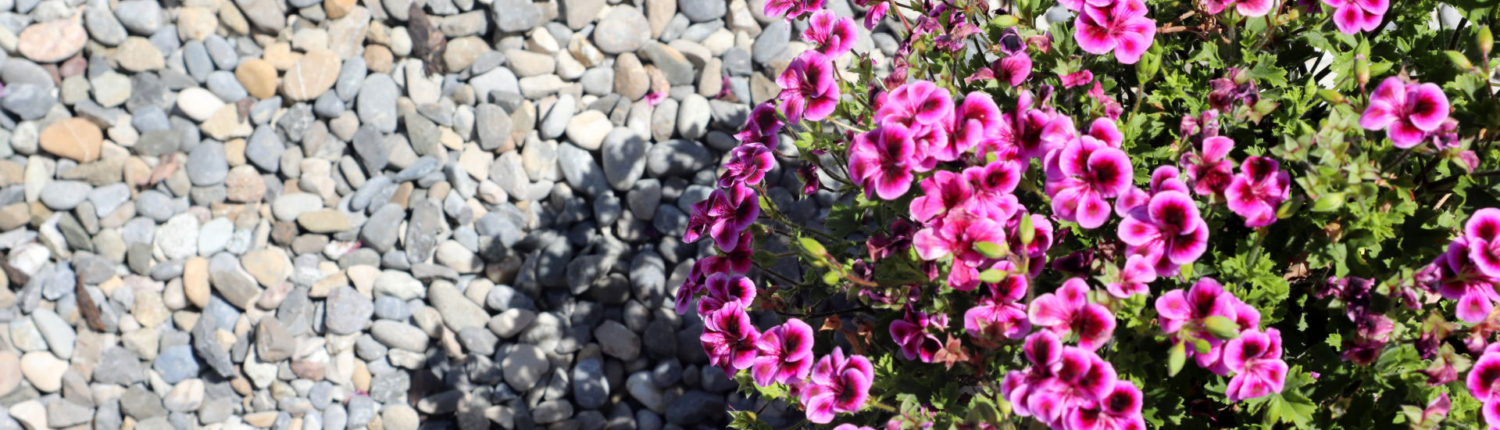 Trösch Gartenbau AG aus Horgen