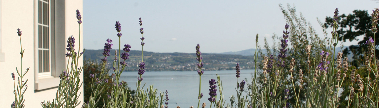 Troesch-Gartenbau-Horgen
